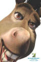 donkey.jpg